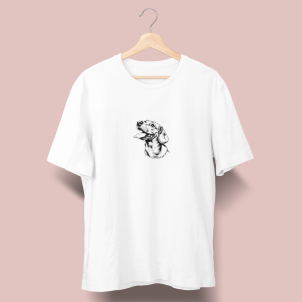 Dachshund C02
