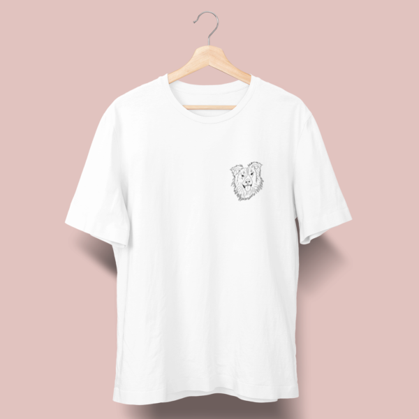 Border collie A01