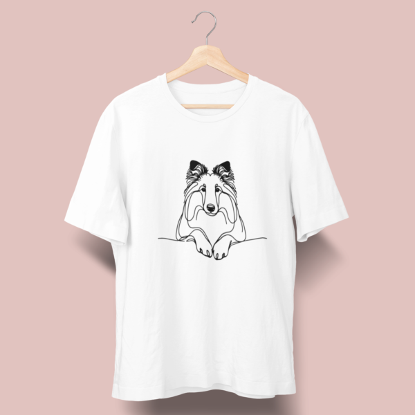 Border collie B03