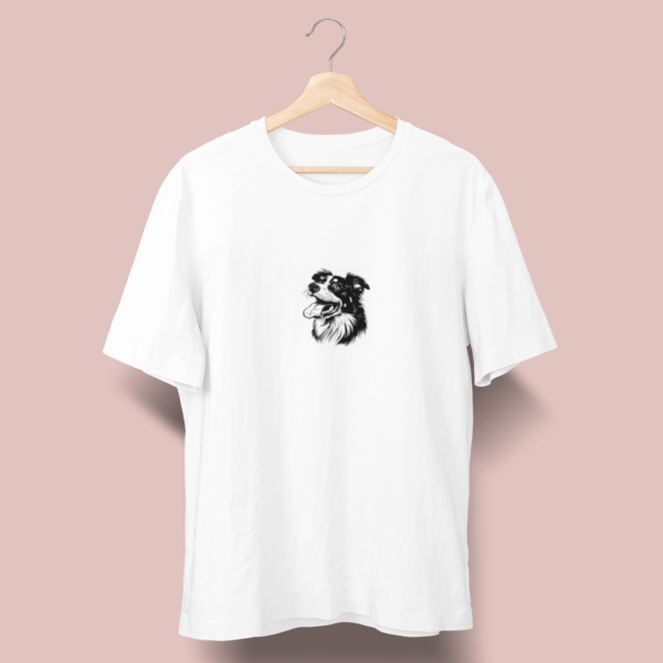 Border collie C01