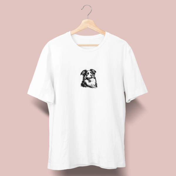 Border collie C02