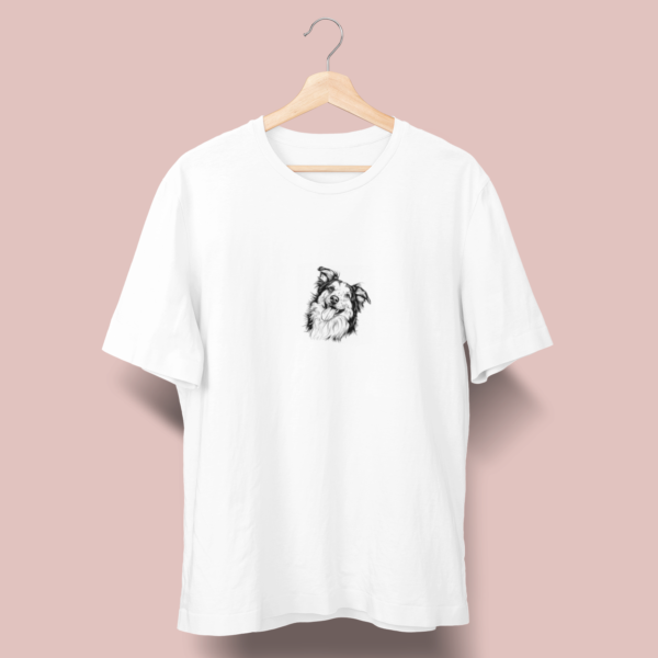 Border collie C03