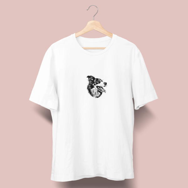 Border collie C04