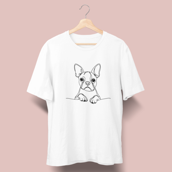 Boston Terrier B02
