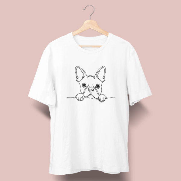 Boston Terrier B04