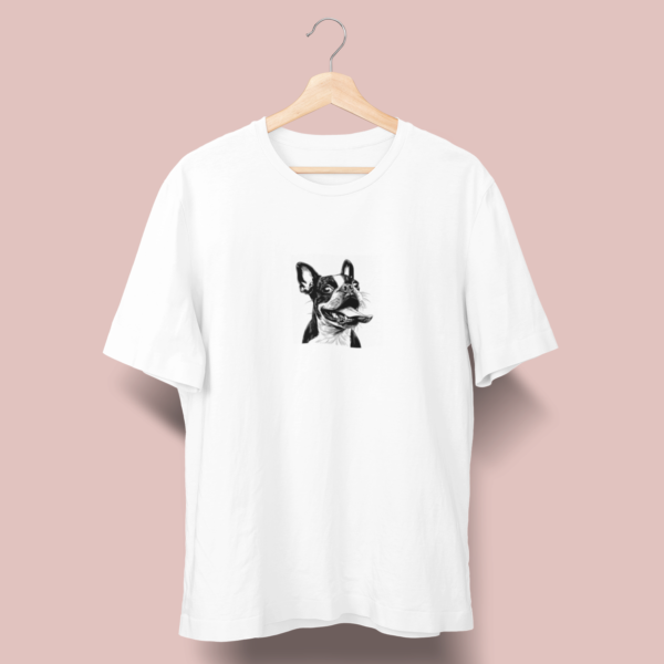 Boston Terrier C02