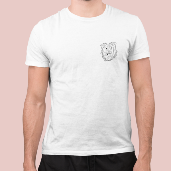 Border collie A01 - Imagen 2