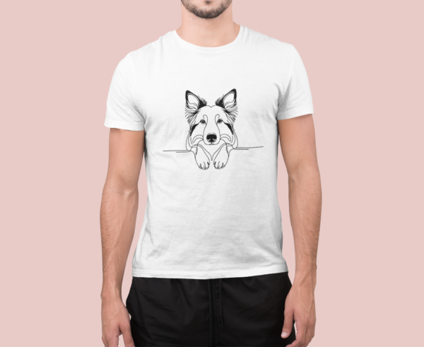 Border collie B01 - Imagen 2