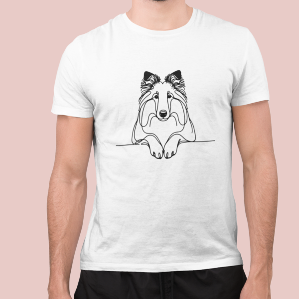 Border collie B03 - Imagen 2