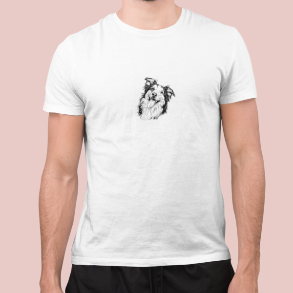 Border collie C03 - Imagen 2