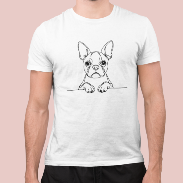 Boston Terrier B02 - Imagen 2