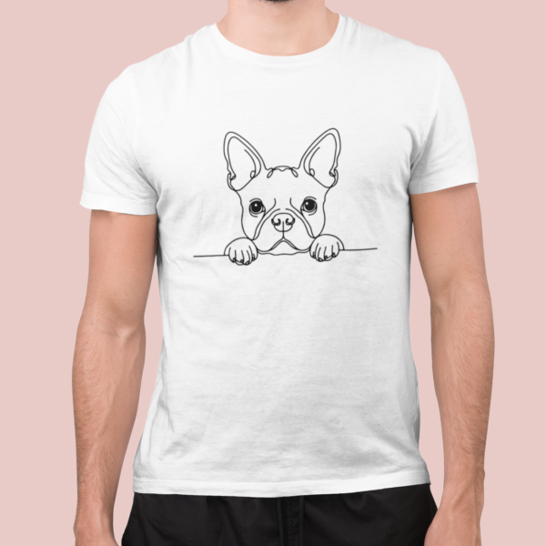 Boston Terrier B04 - Imagen 2
