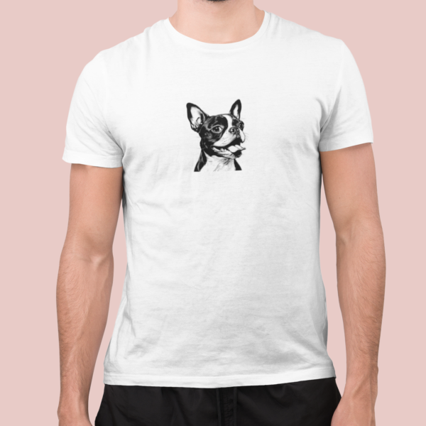 Boston Terrier C04 - Imagen 2