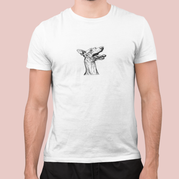 Whippet B02 - Imagen 2