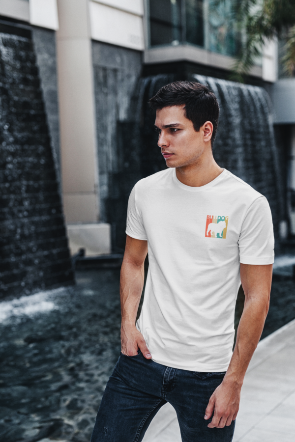Bulldog english-Colorful